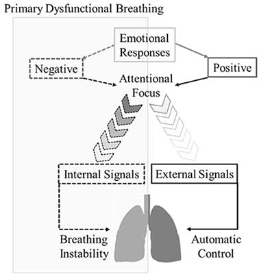 Stop Thinking! I Can't! Do Attentional Mechanisms Underlie Primary Dysfunctional Breathing?